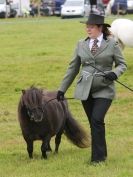 Image 67 in AYLSHAM SHOW JUMPING ETC. 2014