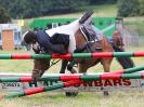 Image 7 in AYLSHAM SHOW JUMPING  ETC.  2014