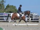 Image 116 in BROADLAND EQUESTRIAN CENTRE. DRESSAGE. 11 AUG 2018