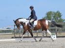 Image 119 in BROADLAND EQUESTRIAN CENTRE. DRESSAGE. 11 AUG 2018