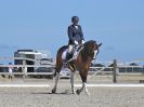 Image 121 in BROADLAND EQUESTRIAN CENTRE. DRESSAGE. 11 AUG 2018