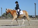 Image 134 in BROADLAND EQUESTRIAN CENTRE. DRESSAGE. 11 AUG 2018