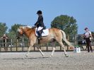 Image 136 in BROADLAND EQUESTRIAN CENTRE. DRESSAGE. 11 AUG 2018