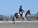 Image 154 in BROADLAND EQUESTRIAN CENTRE. DRESSAGE. 11 AUG 2018