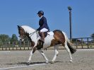 Image 156 in BROADLAND EQUESTRIAN CENTRE. DRESSAGE. 11 AUG 2018