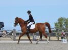 Image 177 in BROADLAND EQUESTRIAN CENTRE. DRESSAGE. 11 AUG 2018