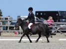 Image 217 in BROADLAND EQUESTRIAN CENTRE. DRESSAGE. 11 AUG 2018