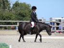 Image 221 in BROADLAND EQUESTRIAN CENTRE. DRESSAGE. 11 AUG 2018