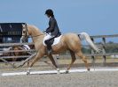 Image 225 in BROADLAND EQUESTRIAN CENTRE. DRESSAGE. 11 AUG 2018