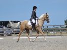 Image 227 in BROADLAND EQUESTRIAN CENTRE. DRESSAGE. 11 AUG 2018