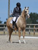 Image 237 in BROADLAND EQUESTRIAN CENTRE. DRESSAGE. 11 AUG 2018