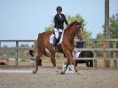 Image 241 in BROADLAND EQUESTRIAN CENTRE. DRESSAGE. 11 AUG 2018