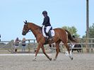 Image 242 in BROADLAND EQUESTRIAN CENTRE. DRESSAGE. 11 AUG 2018