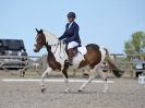 Image 255 in BROADLAND EQUESTRIAN CENTRE. DRESSAGE. 11 AUG 2018