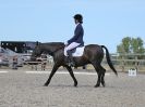 Image 264 in BROADLAND EQUESTRIAN CENTRE. DRESSAGE. 11 AUG 2018