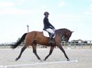 Image 270 in BROADLAND EQUESTRIAN CENTRE. DRESSAGE. 11 AUG 2018