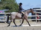 Image 28 in BROADLAND EQUESTRIAN CENTRE. DRESSAGE. 11 AUG 2018