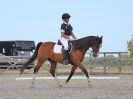 Image 288 in BROADLAND EQUESTRIAN CENTRE. DRESSAGE. 11 AUG 2018