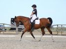 Image 291 in BROADLAND EQUESTRIAN CENTRE. DRESSAGE. 11 AUG 2018