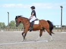 Image 292 in BROADLAND EQUESTRIAN CENTRE. DRESSAGE. 11 AUG 2018