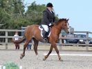 Image 307 in BROADLAND EQUESTRIAN CENTRE. DRESSAGE. 11 AUG 2018