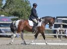 Image 84 in BROADLAND EQUESTRIAN CENTRE. DRESSAGE. 11 AUG 2018