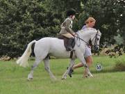 Image 1 in SOUTH NORFOLK PONY CLUB. ONE DAY EVENT. 18 AUGUST 2018