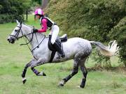 Image 157 in SOUTH NORFOLK PONY CLUB. ONE DAY EVENT. 18 AUGUST 2018