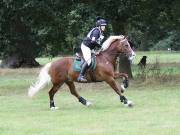 Image 173 in SOUTH NORFOLK PONY CLUB. ONE DAY EVENT. 18 AUGUST 2018