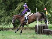 Image 174 in SOUTH NORFOLK PONY CLUB. ONE DAY EVENT. 18 AUGUST 2018