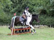 Image 177 in SOUTH NORFOLK PONY CLUB. ONE DAY EVENT. 18 AUGUST 2018