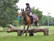 Image 182 in SOUTH NORFOLK PONY CLUB. ONE DAY EVENT. 18 AUGUST 2018