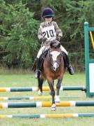 Image 195 in SOUTH NORFOLK PONY CLUB. ONE DAY EVENT. 18 AUGUST 2018