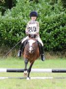 Image 199 in SOUTH NORFOLK PONY CLUB. ONE DAY EVENT. 18 AUGUST 2018