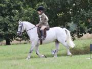 Image 30 in SOUTH NORFOLK PONY CLUB. ONE DAY EVENT. 18 AUGUST 2018