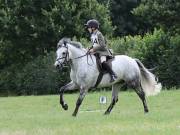 Image 39 in SOUTH NORFOLK PONY CLUB. ONE DAY EVENT. 18 AUGUST 2018