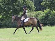 Image 62 in SOUTH NORFOLK PONY CLUB. ONE DAY EVENT. 18 AUGUST 2018