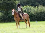 Image 69 in SOUTH NORFOLK PONY CLUB. ONE DAY EVENT. 18 AUGUST 2018