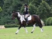 Image 77 in SOUTH NORFOLK PONY CLUB. ONE DAY EVENT. 18 AUGUST 2018