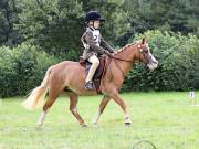 Image 80 in SOUTH NORFOLK PONY CLUB. ONE DAY EVENT. 18 AUGUST 2018