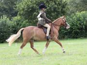 Image 81 in SOUTH NORFOLK PONY CLUB. ONE DAY EVENT. 18 AUGUST 2018