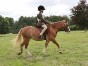 Image 83 in SOUTH NORFOLK PONY CLUB. ONE DAY EVENT. 18 AUGUST 2018