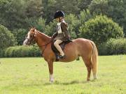 Image 85 in SOUTH NORFOLK PONY CLUB. ONE DAY EVENT. 18 AUGUST 2018