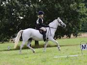 Image 88 in SOUTH NORFOLK PONY CLUB. ONE DAY EVENT. 18 AUGUST 2018