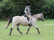 Image 9 in SOUTH NORFOLK PONY CLUB. ONE DAY EVENT. 18 AUGUST 2018