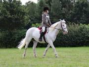 Image 90 in SOUTH NORFOLK PONY CLUB. ONE DAY EVENT. 18 AUGUST 2018