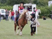 Image 138 in BECCLES AND BUNGAY RIDING CLUB. 19 AUGUST 2018