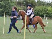 Image 156 in BECCLES AND BUNGAY RIDING CLUB. 19 AUGUST 2018