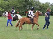 Image 158 in BECCLES AND BUNGAY RIDING CLUB. 19 AUGUST 2018