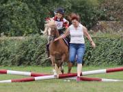 Image 34 in BECCLES AND BUNGAY RIDING CLUB. 19 AUGUST 2018